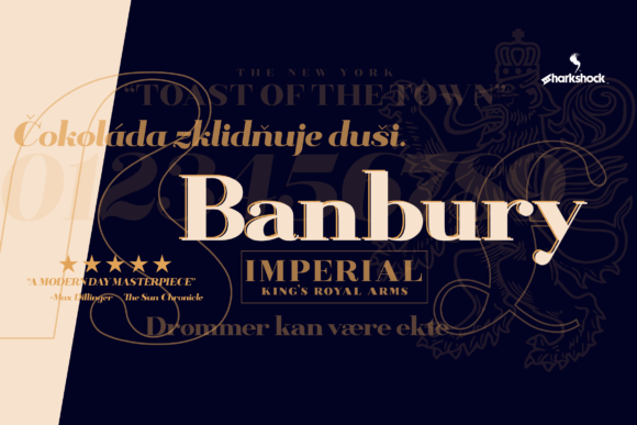 Banbury: The Neo Classical Display Font for Elegant Brand Identity