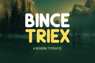 Bince Triex: A Rounded Sans Serif Display Font for Modern Web Design