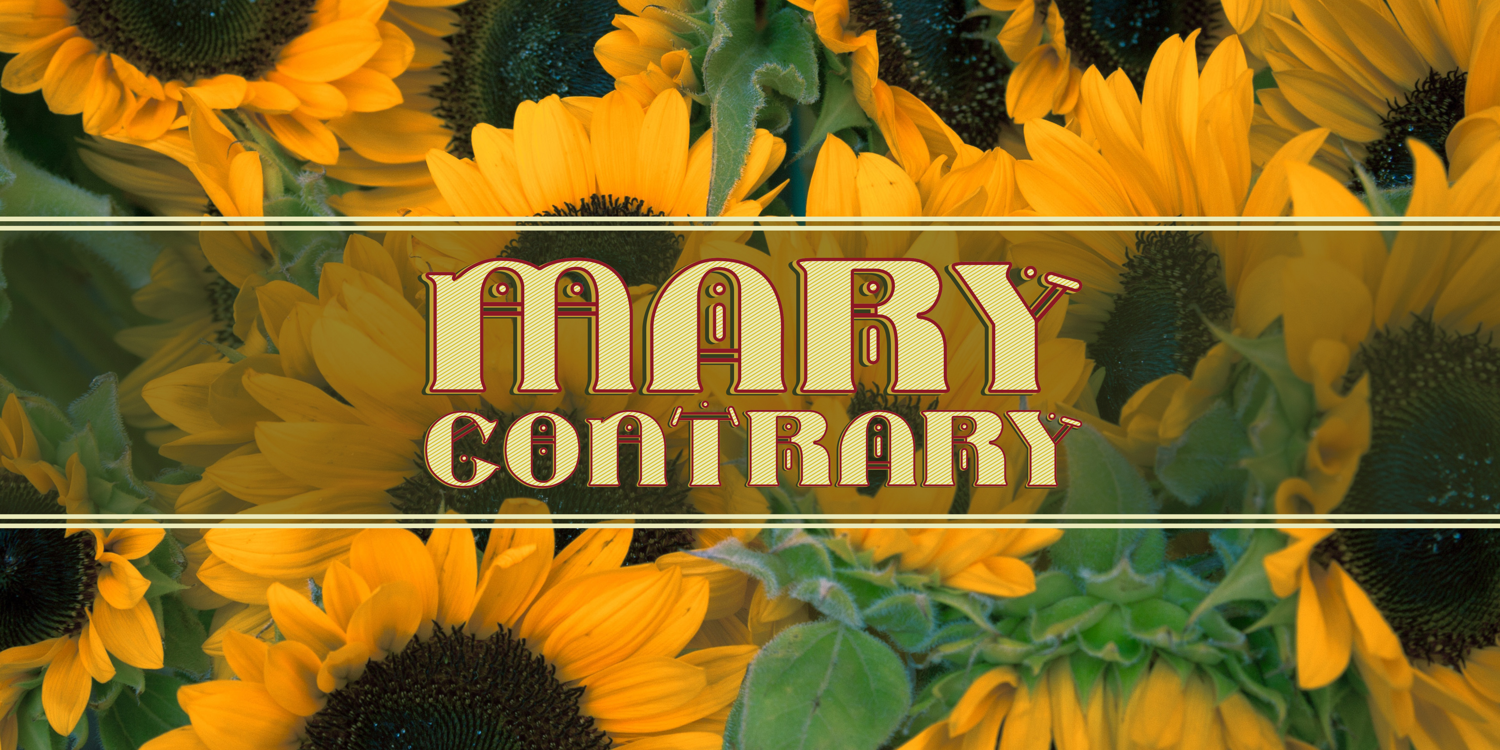 Mary Contrary Typeface: A Decorative Display Font for Editorial Design