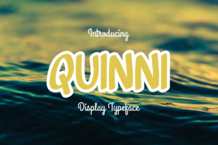 Quinni: The Freestyle Display Font for Modern Web Design