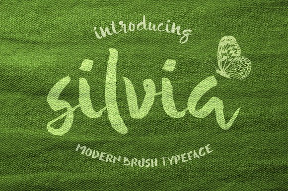 Silvia: A Charming Painterly Font for Editorial Design