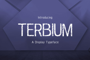 Terbium: A Textured Display Font by Seemly Fonts for Branding